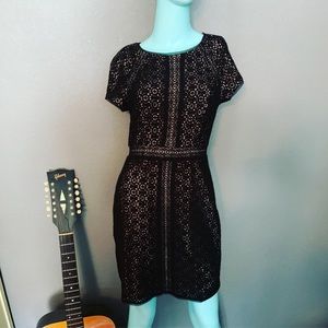 🔥 NWT BCBG MAX “Chloe” Dress Size 4 nude black dress